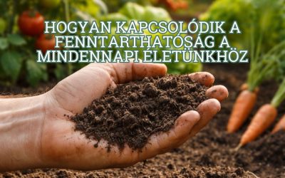 Fenntartható kert jelentése és alapjai. Hogyan kapcsolódik a fenntarthatóság a mindennapi életünkhöz