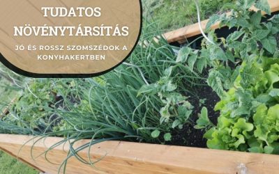 A tudatos növénytársítás titka! Természetes növényvédelem vegyszerek nélkül a konyhakertben.