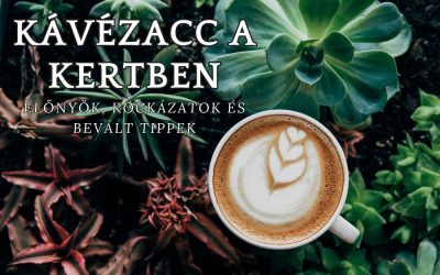 A kávézacc a kertben egy csodaszer! Előnyök, kockázatok és gyakorlati tippek hogyan használd!