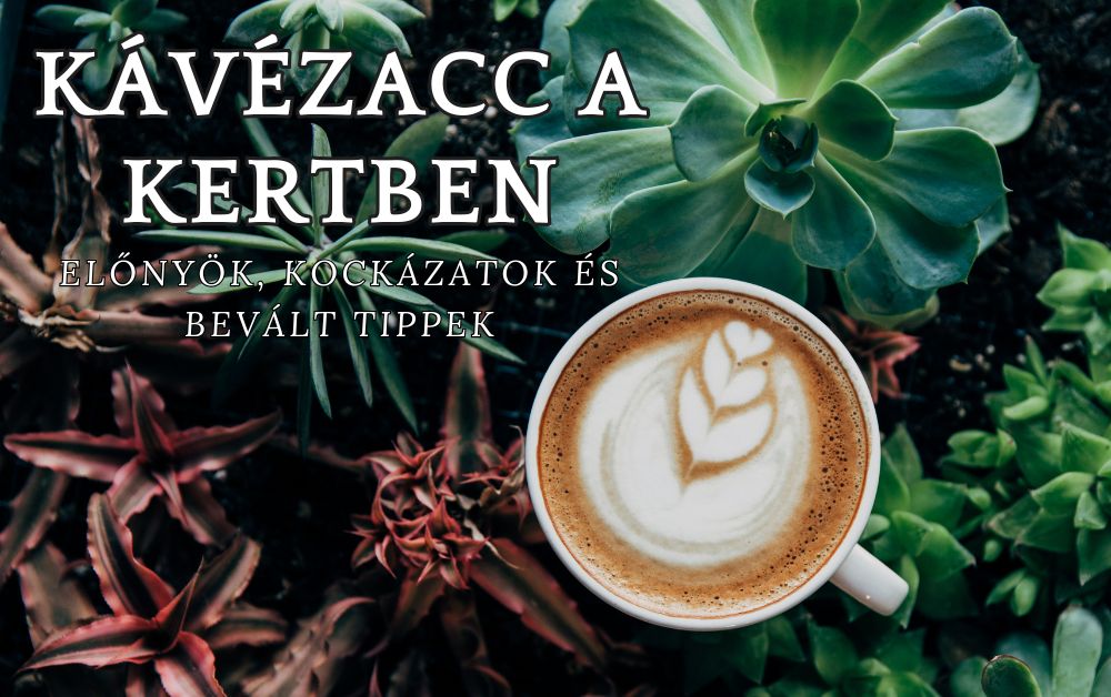 A kávézacc a kertben egy csodaszer! Előnyök, kockázatok és gyakorlati tippek hogyan használd!