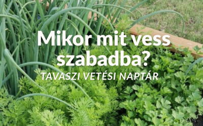 Mikor mit vess szabadba? – Tavaszi vetési naptár kis kertekhez