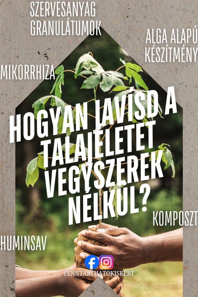 15 sűrű, strapabíró növény sövénynek a kertben! Szervesanyag utánpótlás vegyszermentesen