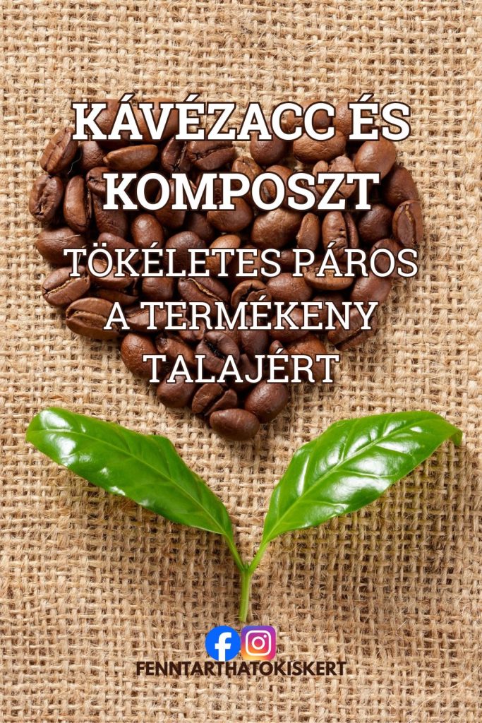 Kávézacc és komposzt: tökéletes páros a termékeny talajért