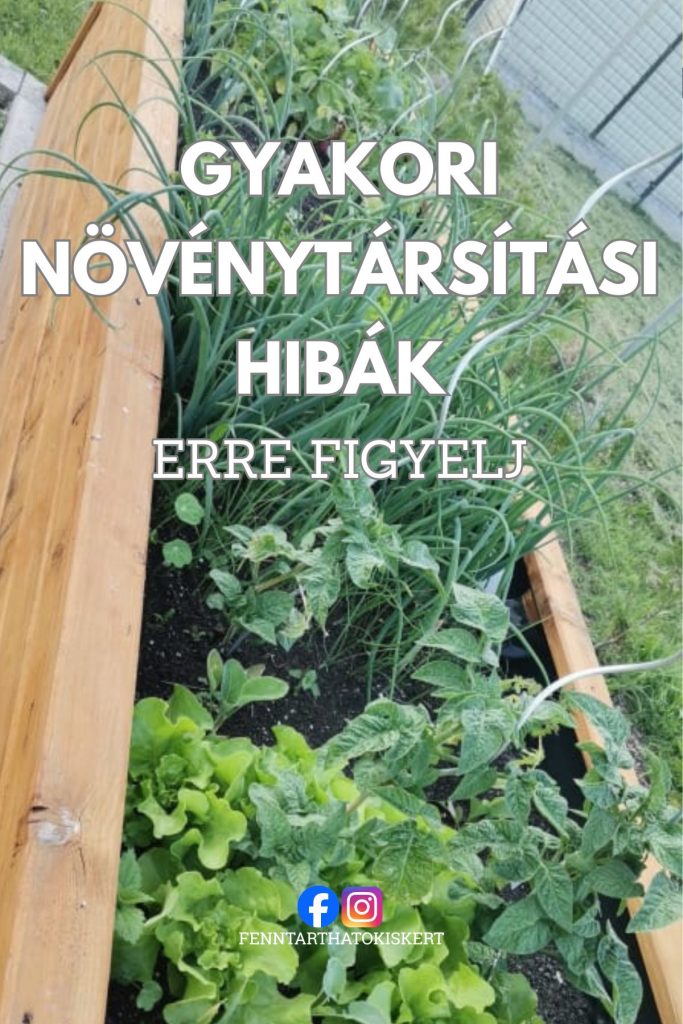 A tudatos növénytársítás titka! Gyakori hibák, amire figyelj