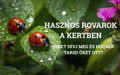 Hasznos rovarok a kertben – Kiket hívj meg, és hogyan tartsd ott őket?