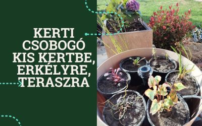 Kerti csobogó kis kertbe, erkélyre, teraszra – így teremts nyugalmat vízzel otthon