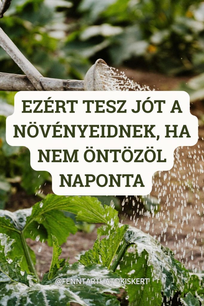 Túlöntözés elkerülése érdekében, ellenőrizd a talaj nedvességtartalmát ujjteszttel