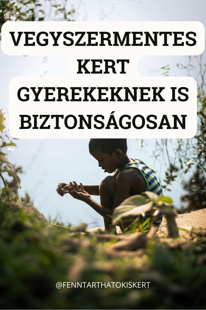 Vegyszermentes kert nemcsak a méhek és rovarok, hanem a gyerekek és háziállatok számára is biztonságosabb.
