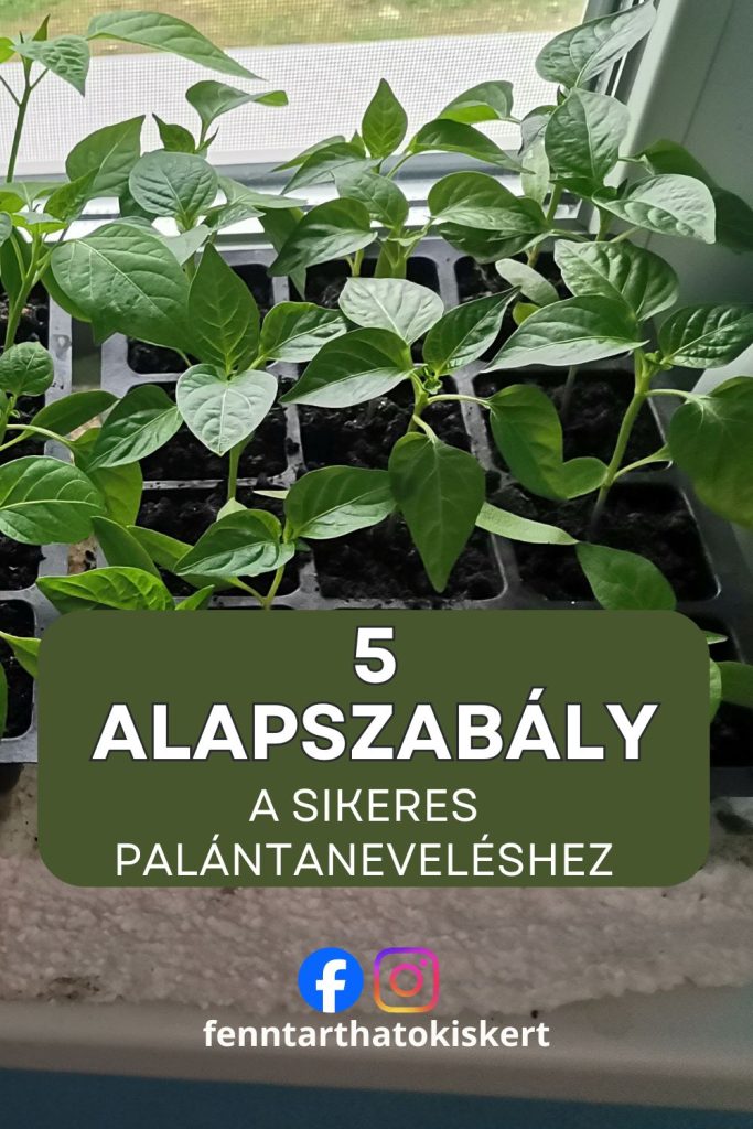 A palántanevelés akkor válik igazán sikeressé, ha az alapokra már a tavaszi kerti munkák során figyelmet fordítunk.