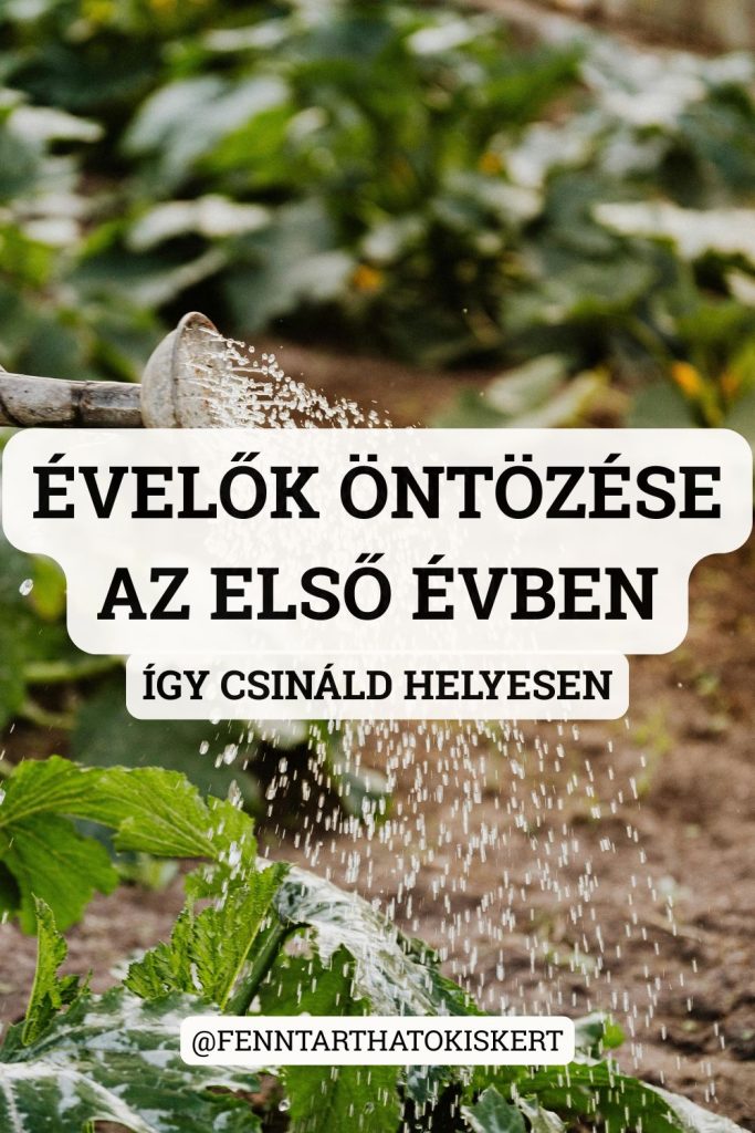 10. Mikor és mennyit öntözz az évelőknek az első évben? Ez az egyik legfontosabb kérdés az évelők gondozásában.