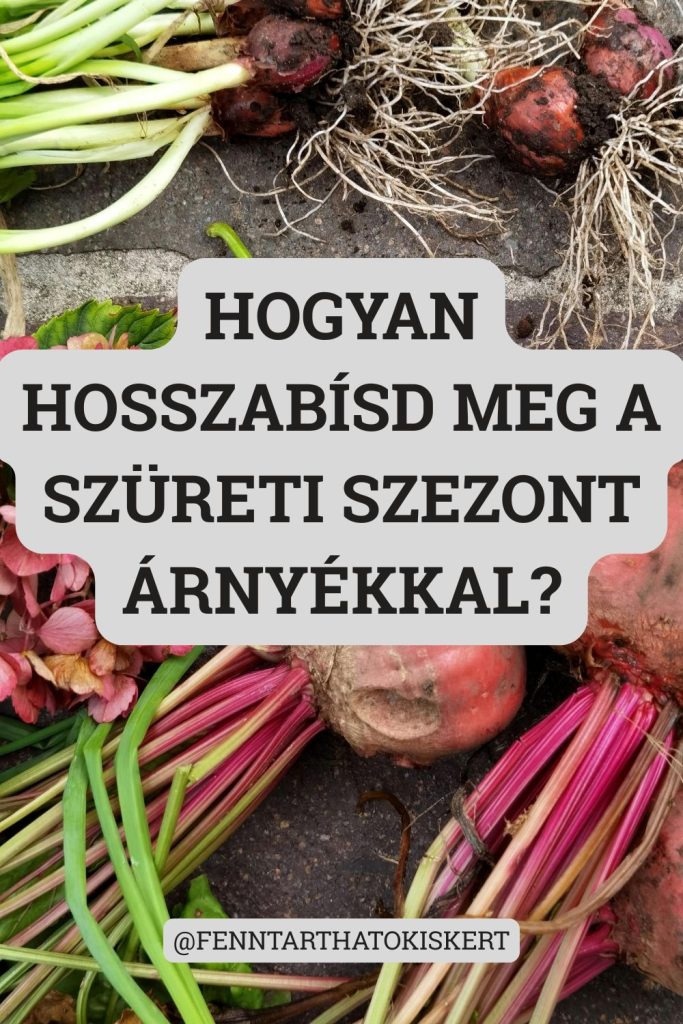 Az árnyékos terület tavasszal és ősszel is termőképes marad, amikor a napos részek már lehűltek.