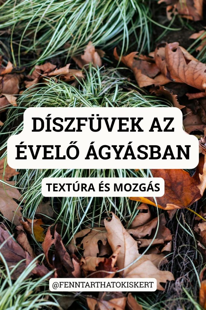 A díszfüvek az évelő ágyás textúra és mozgás forrása – anélkül versenyeznek a virágos évelőkkel.