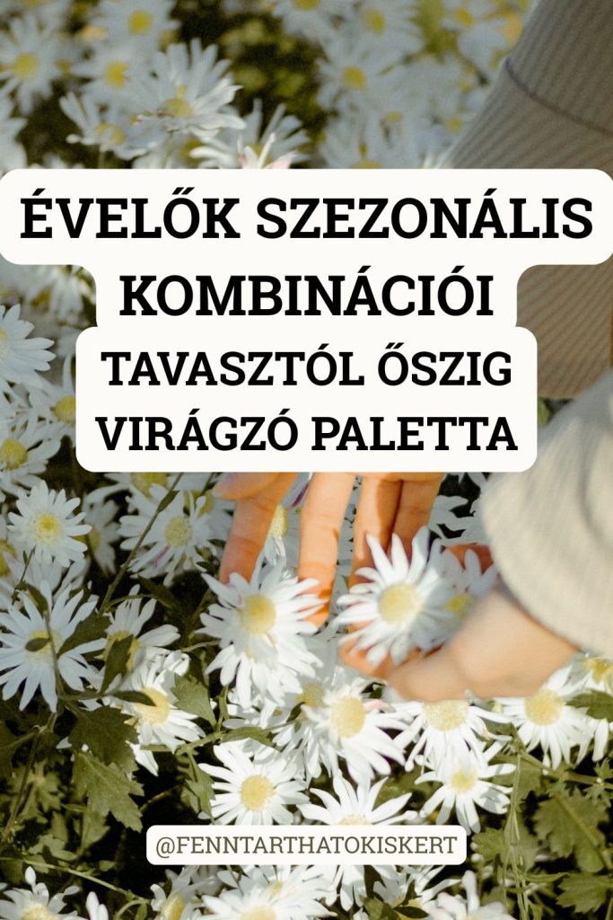 : Nem tudod, hol kezdj? Ebben a cikkben megmutatjuk a teljes éves virágzási palettát – tavaszi zsályától a nyári kasvirágtól és kék szamárkenyértől az őszi völgycsillagig és örökzöld keserűfűig. Minden évszakra ajánlunk domináns fajt, kísérőt és díszfüvet