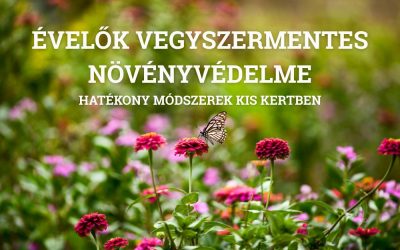 Vegyszermentes növényvédelem évelő ágyásokban! Hatékony módszerek kis kertben