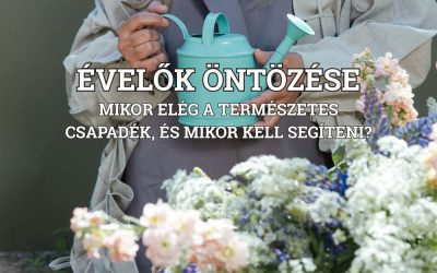 Évelők öntözése: mikor elég a természetes csapadék, és mikor kell segíteni?