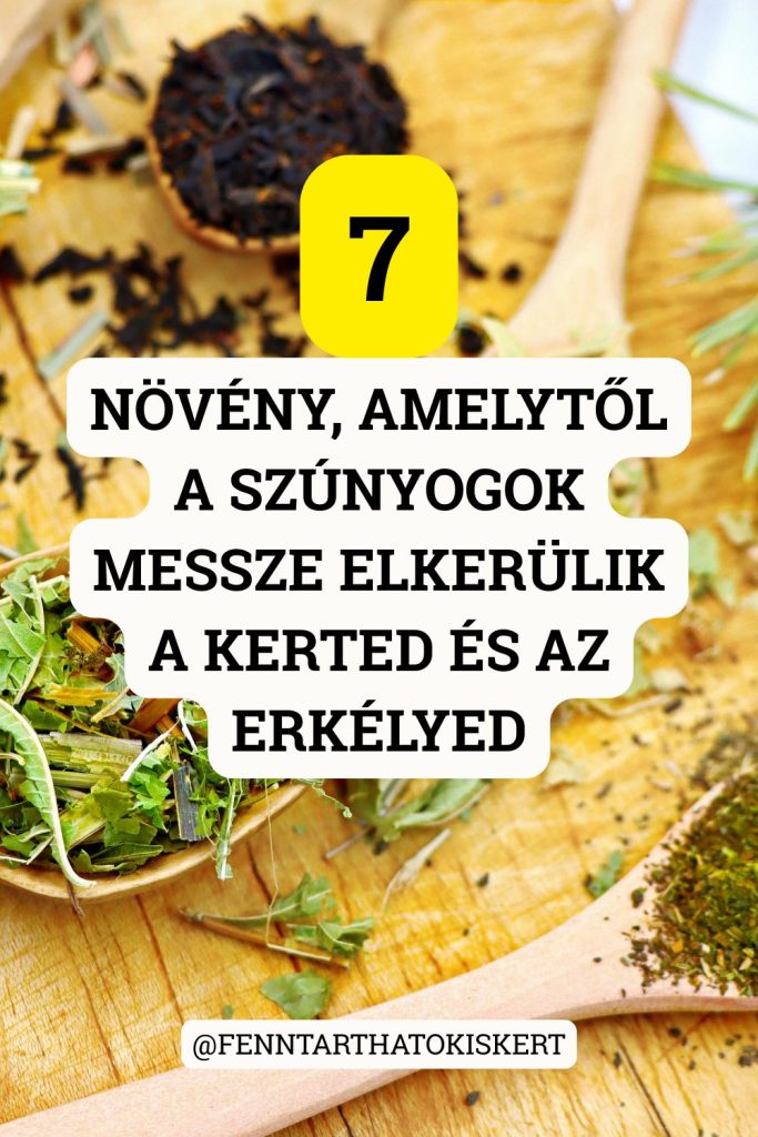 Szúnyogűző növények a kertbe. 7 természetes megoldás, amelytől a szúnyogok eltűnnek