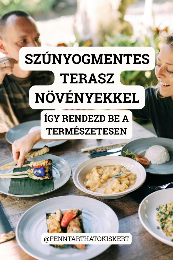 Egy szúnyogmentes terasz nem álom, hanem megvalósítható cél, ha a megfelelő növényeket a megfelelő helyekre ülteted. Így rendezd be a teraszodat szúnyogriasztó növényekkel úgy, hogy egyszerre legyen szép és hatékony.