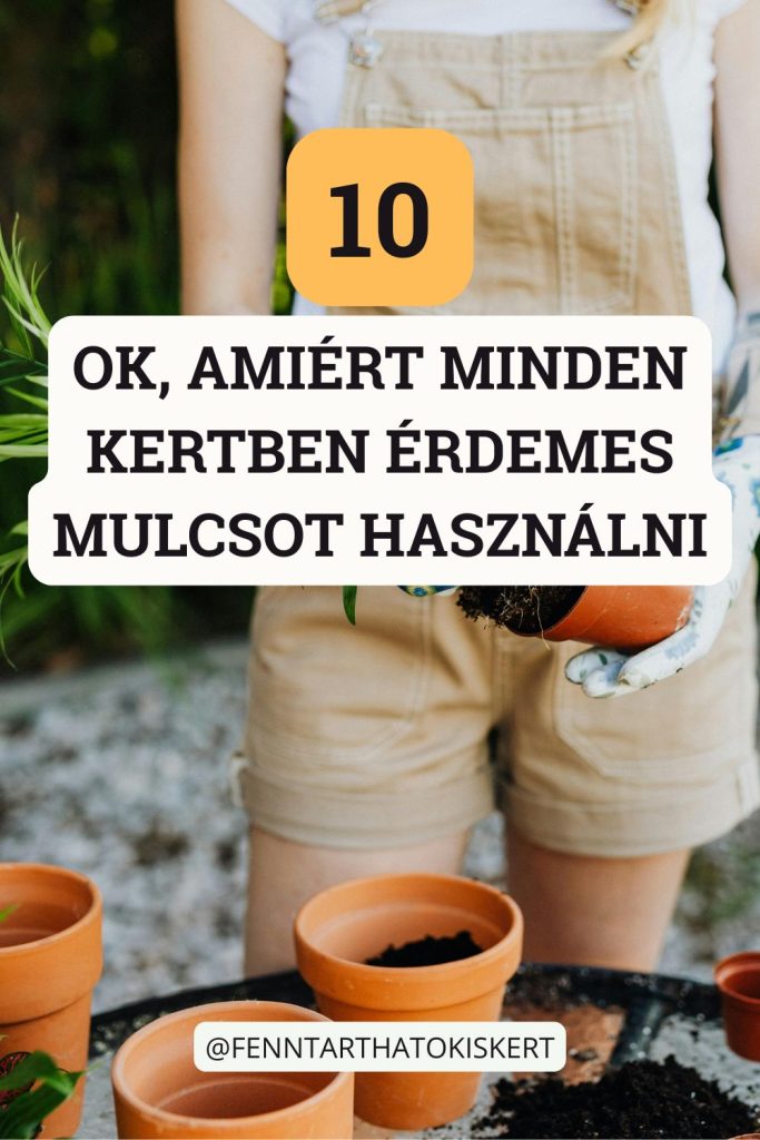 Kevesebb öntözés, kevesebb gyom és egészségesebb talaj. A mulcsozás ennél sokkal többet tud.
