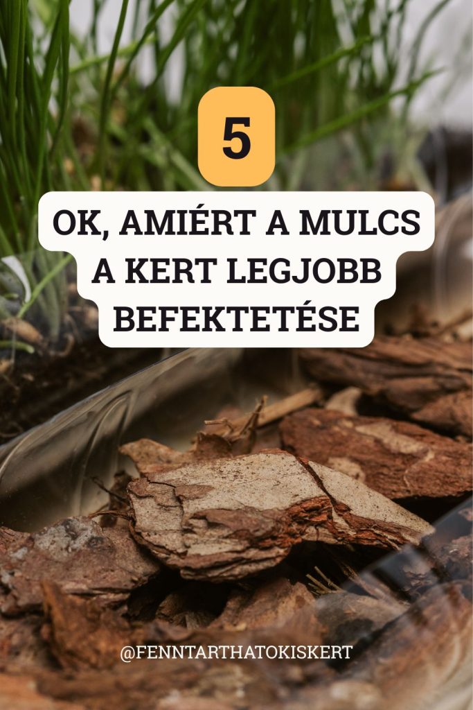 Kevés munka, mégis rengeteg előny. Nézd meg, miért tartják a tapasztalt kertészek a mulcsot az egyik legjobb segítségnek.