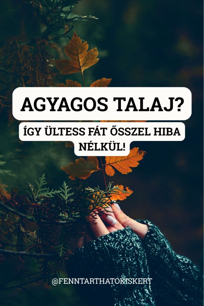 Agyagos talaj? Így ültess fát ősszel hiba nélkül