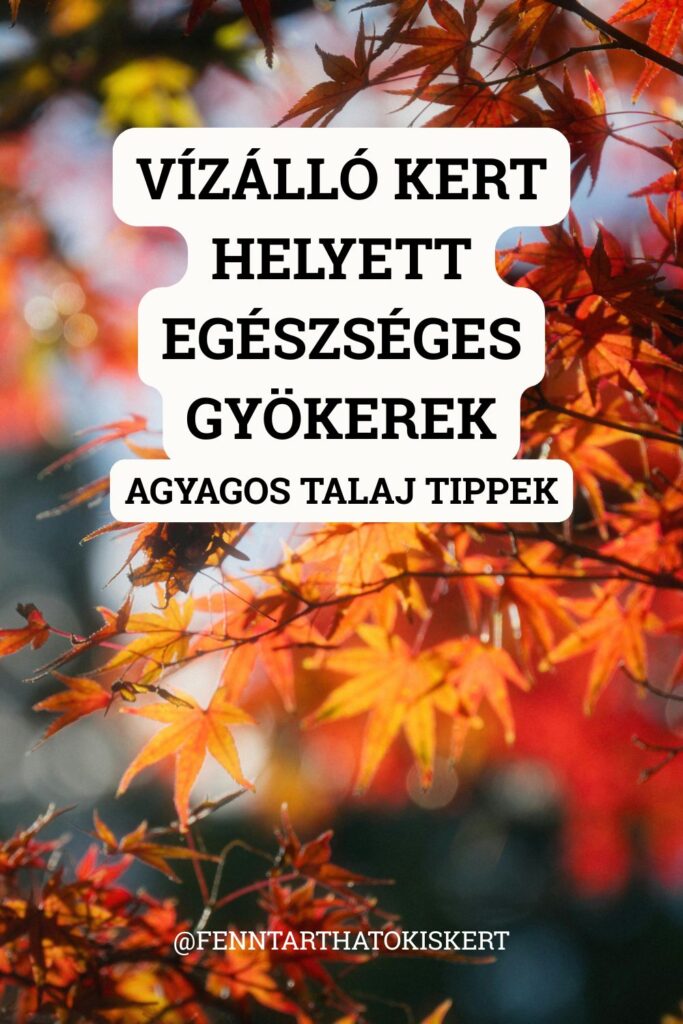 Vízálló kert helyett egészséges gyökerek