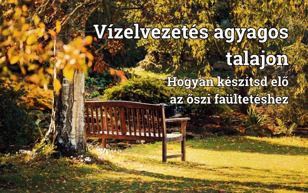 Vízelvezetés agyagos talajon: hogyan készítsd elő az őszi faültetéshez