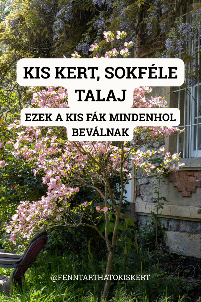 A gömbjuhartól a csörgőfáig mutatjuk azokat a fajtákat, amiket nem válogatnak, mégis gyönyörűek.