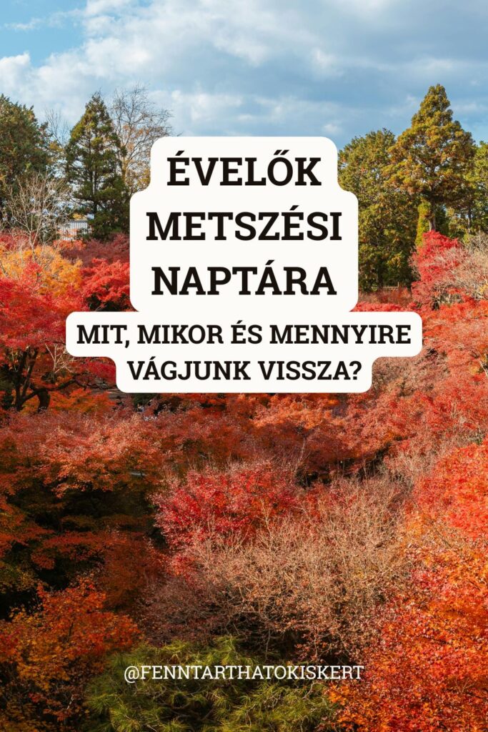 Mikor vágjunk, mennyire vágjunk, és mit hagyjunk meg télre? Részletes, hónap-hónapra bontott metszési naptár az évelőknek, így soha többé nem lesz kérdés, hogy a metszőolló mikor kerüljön elő.